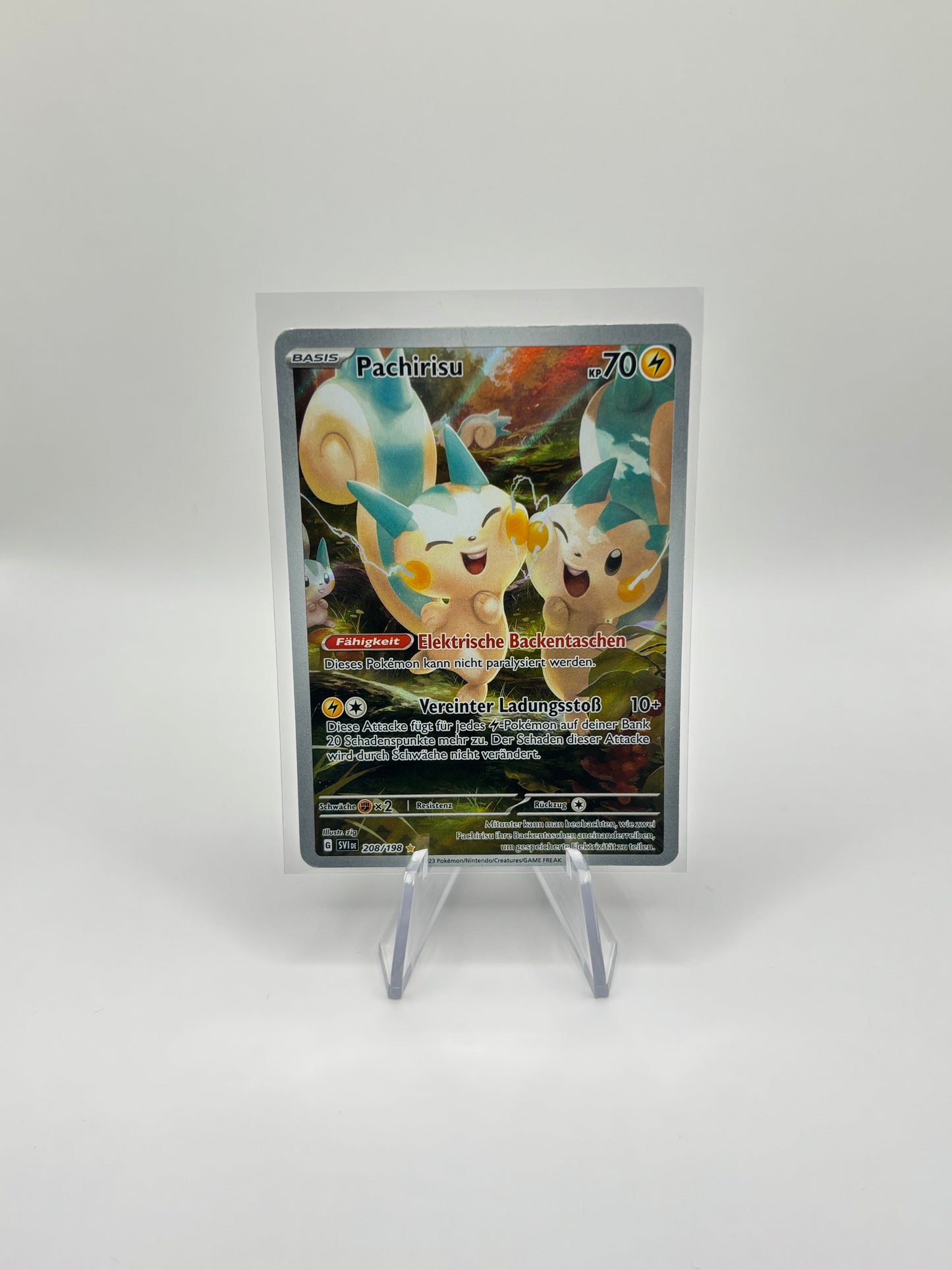 Pachirisu (SVI 208)