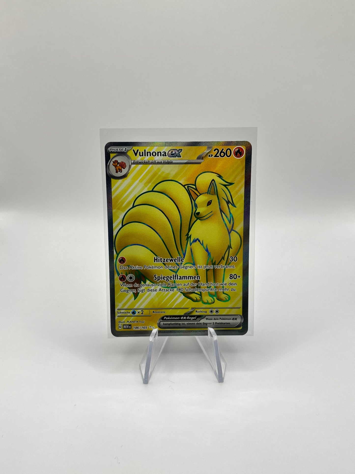 Vulnona ex (MEW 186)