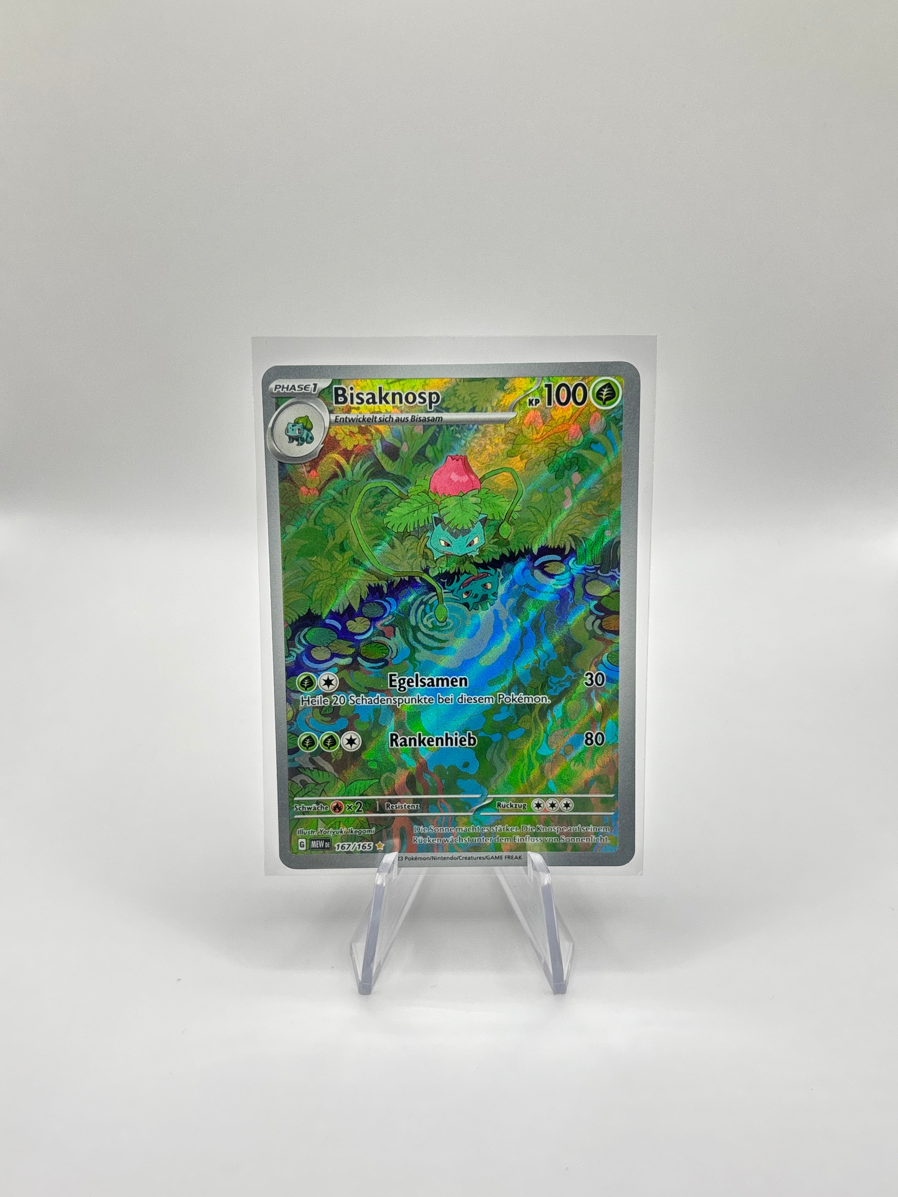 Pokemon Einzelkarten – DustinCollects